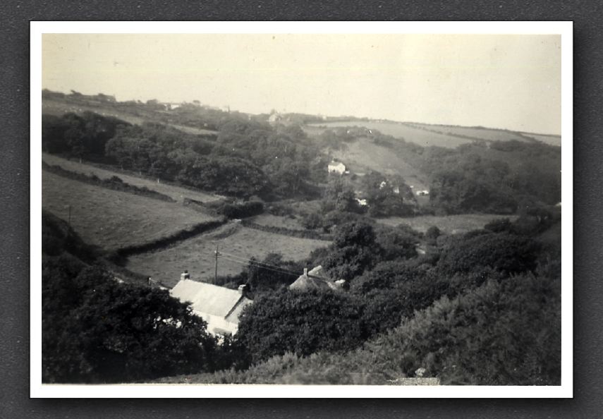 Speke's Valley, Lymbridge 1954