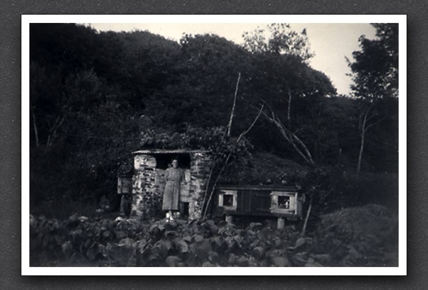 Watersmeet Garden 1954