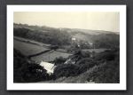 Speke's Valley, Lymbridge 1954