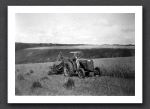 Farming Lymebridge