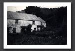 Watersmeet Garden 1953