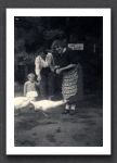 Geese Aug 1958