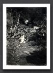 RIF Watersmeet Garden 1956
