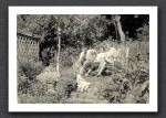 Watersmeet Garden