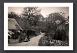 Lymbridge 1951
