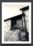 Stella Knowles Watersmeet 1959